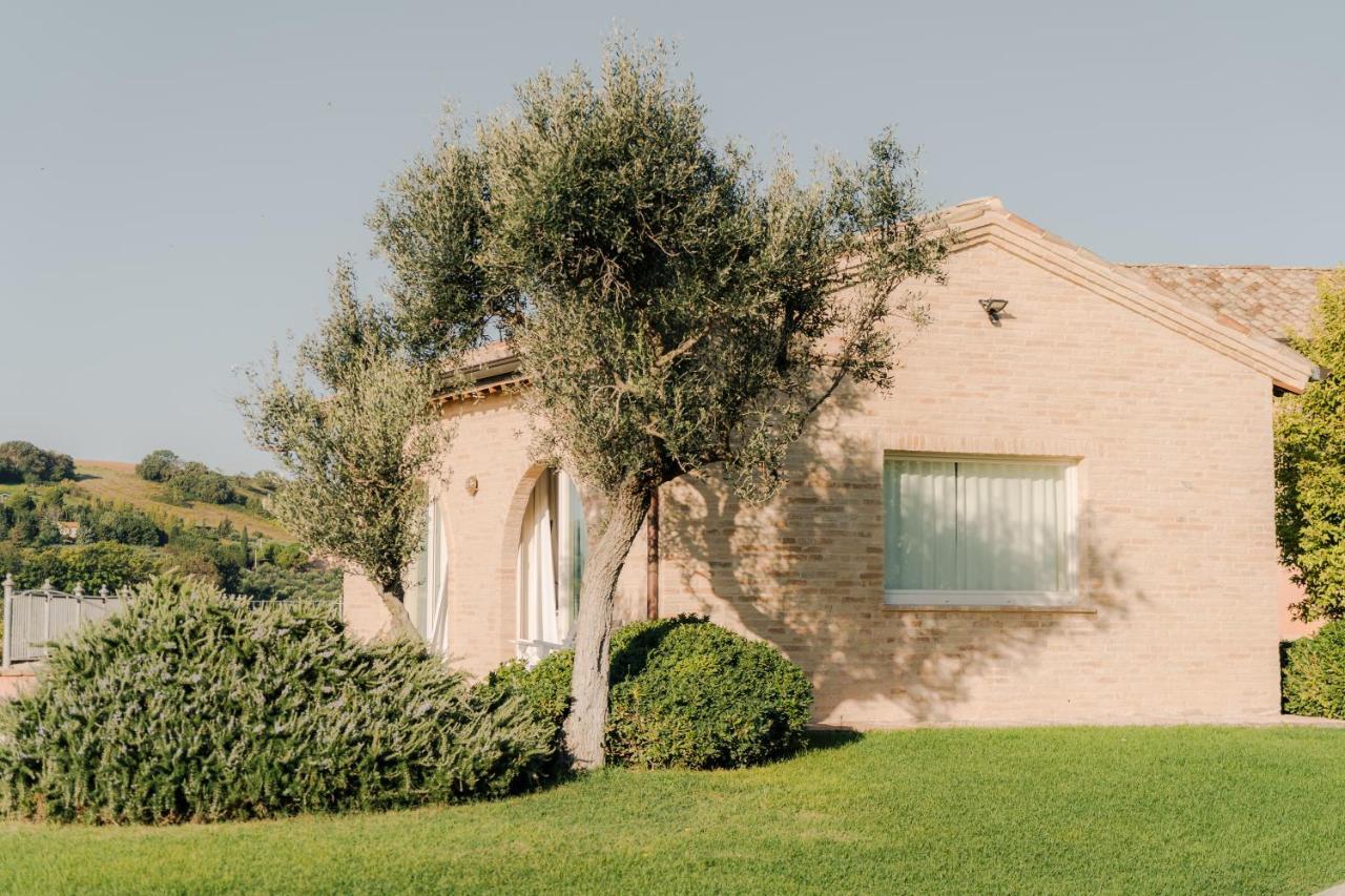 Nontiscordardime B&B Villa Agriturismo 西维尔诺瓦·马尔凯 外观 照片