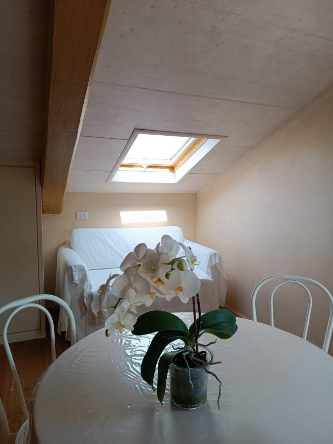 Nontiscordardime B&B Villa Agriturismo 西维尔诺瓦·马尔凯 外观 照片