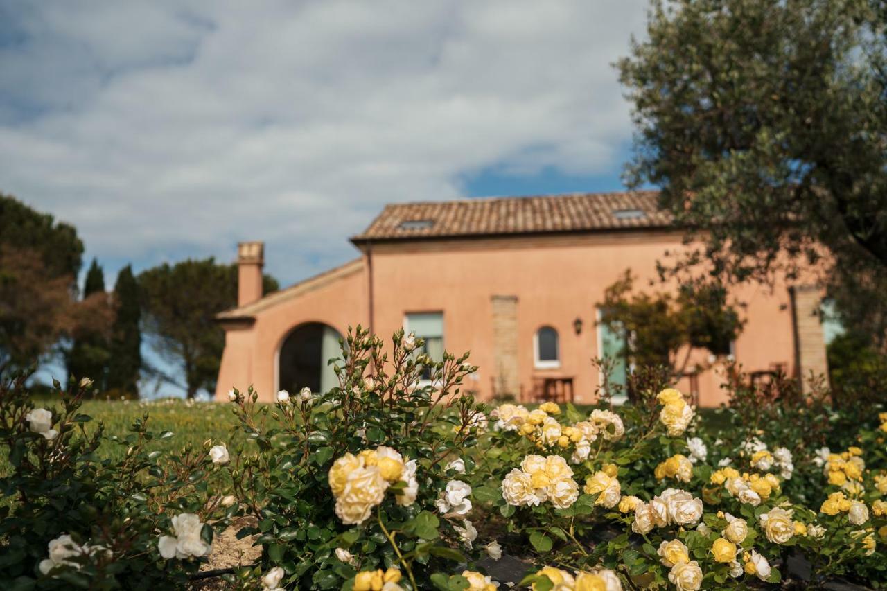 Nontiscordardime B&B Villa Agriturismo 西维尔诺瓦·马尔凯 外观 照片